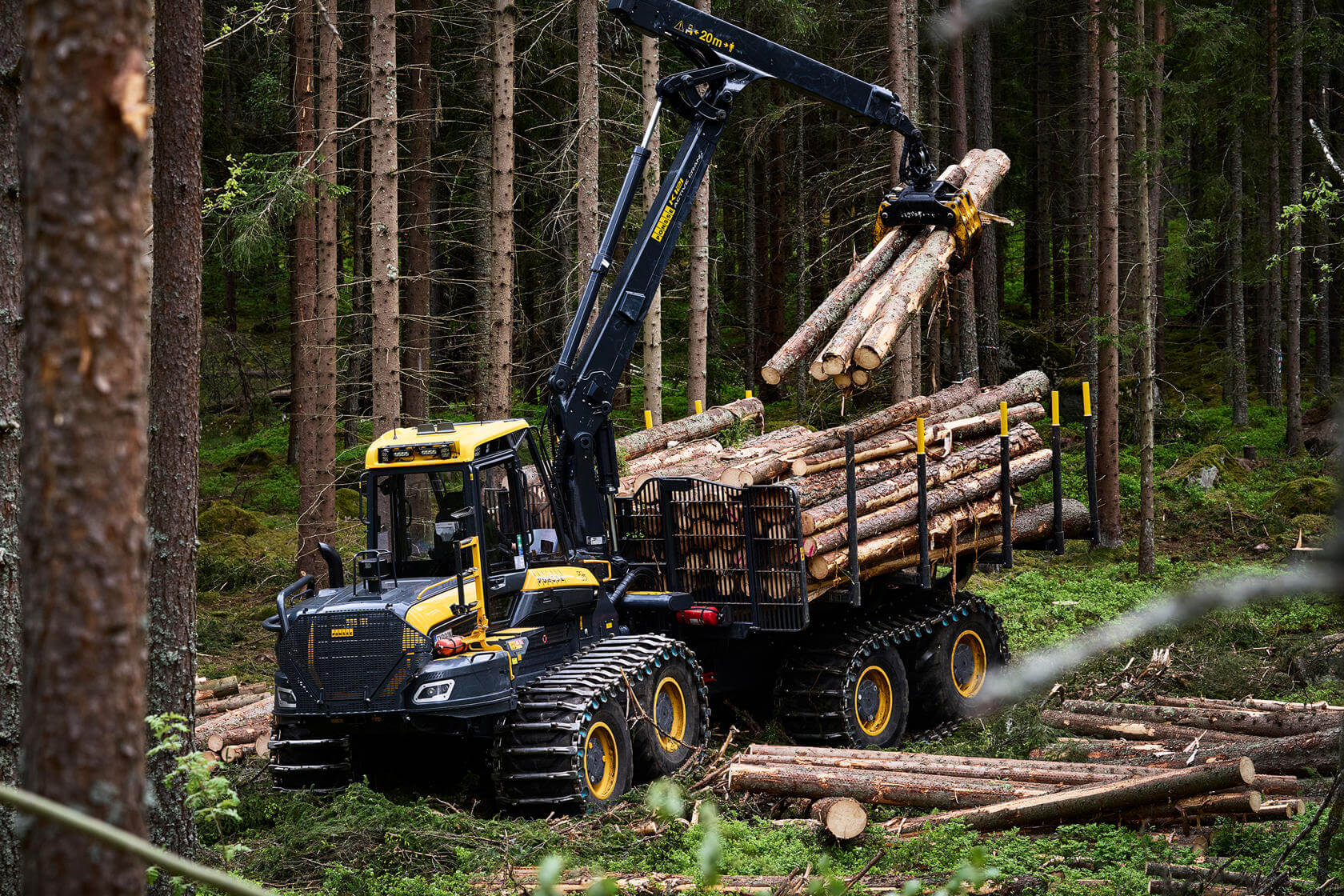 Timber harvester loading logs in a managed forest